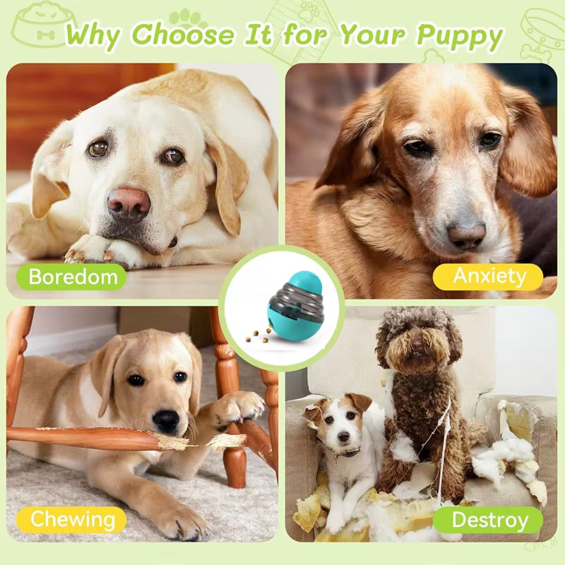 Brain Game Feeder — IQ Puzzle Bowl for High-Drive Dogs