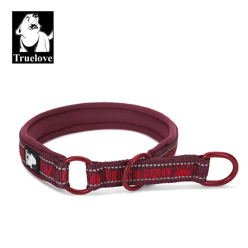 Pull-Stop Training Collar — Heavy Duty Nylon for Strong Pullers