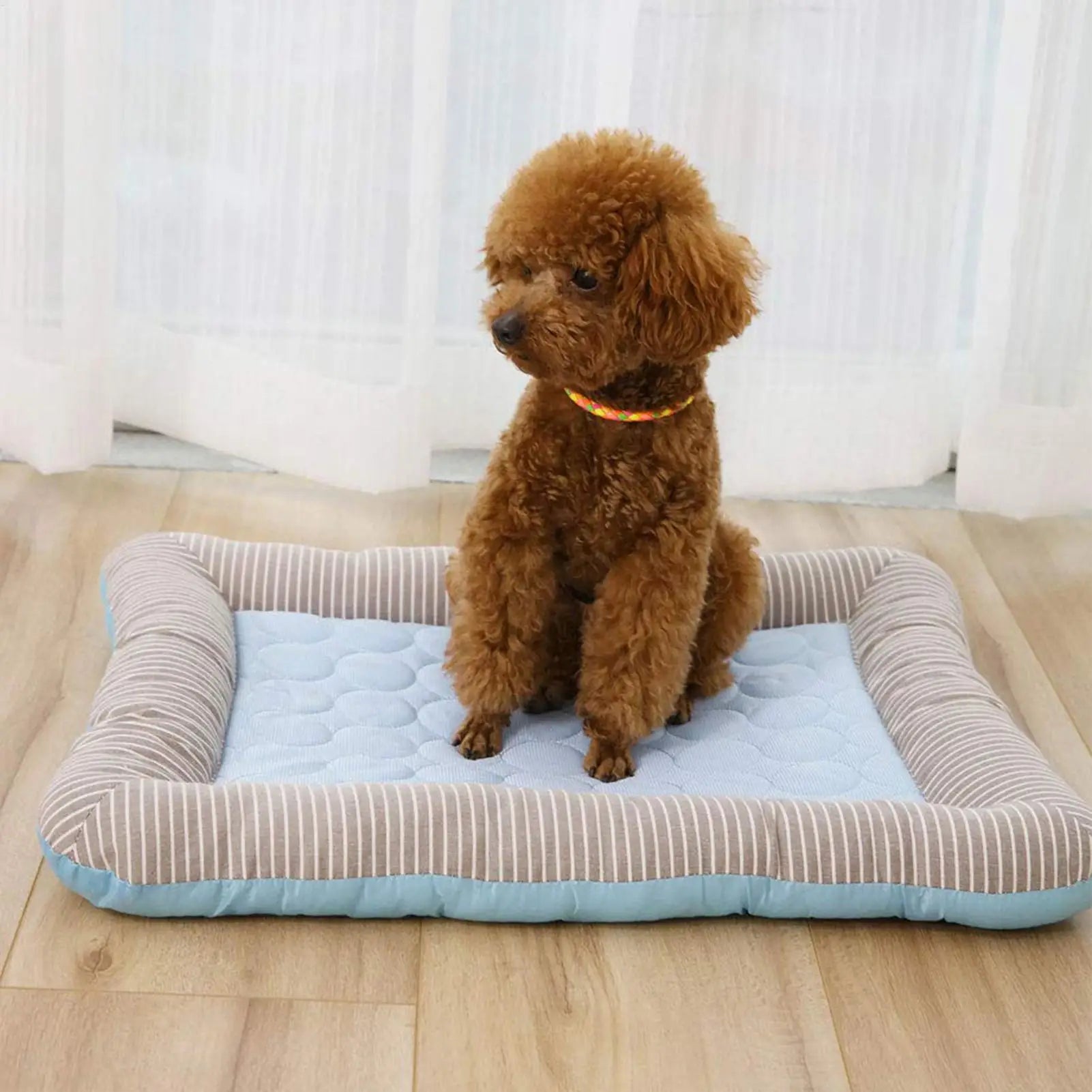 Cool Paws Mat — 22°C Drop, Built for Aussie Summer
