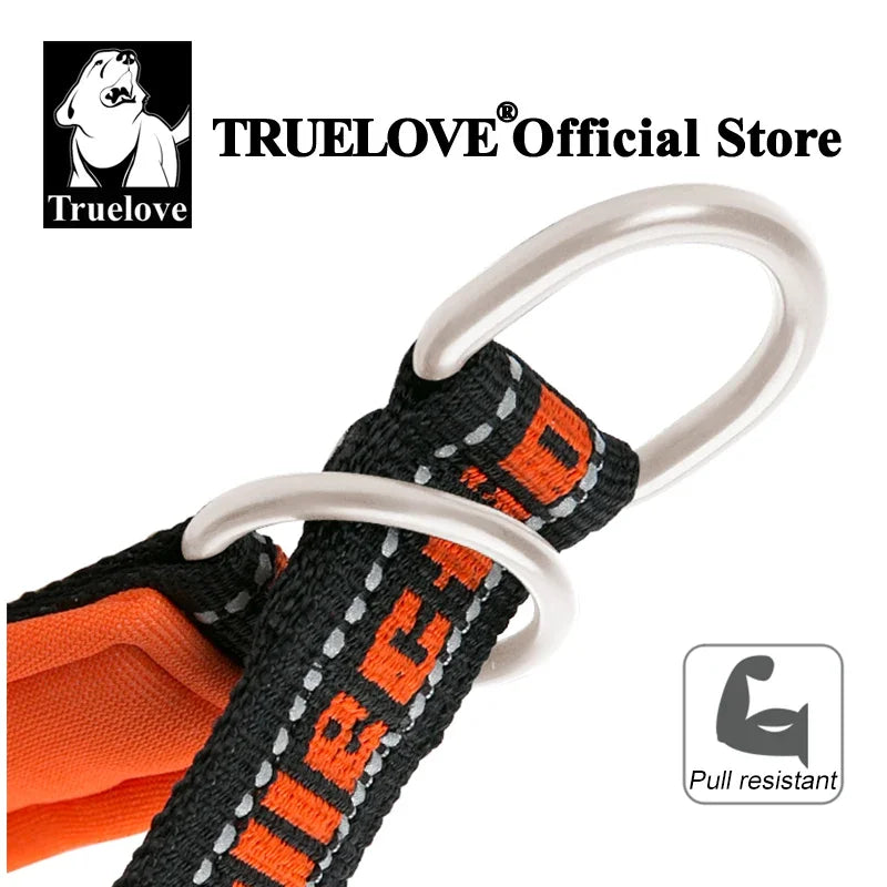 Pull-Stop Training Collar — Heavy Duty Nylon for Strong Pullers